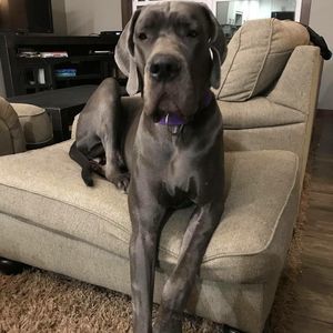 Meet your Posher, Michael